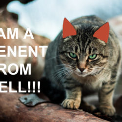 A Tenant From Hell And How To Deal With Them
